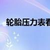轮胎压力表看内圈还是外圈（轮胎压力表）