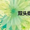 双头螺栓国标号（双头螺栓）