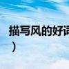 描写风的好词好句一百字（描写风的好词好句）