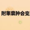 附睾囊肿会变成癌症吗（附睾囊肿会癌变吗）