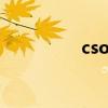 csol飞机票（csol飞机）