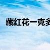 藏红花一克多少根儿（藏红花一克多少根）