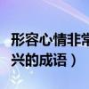 形容心情非常高兴的成语有哪些（形容心情高兴的成语）
