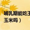 哺乳期能吃玉米吗宝宝会胀气吗（哺乳期能吃玉米吗）