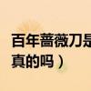 百年蔷薇刀是真的吗值得买吗（百年蔷薇刀是真的吗）