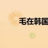 毛在韩国的意思（韩国mv是毛片）