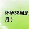 怀孕38周是几个月怎么算（怀孕38周是几个月）