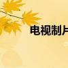 电视制片人的职责（电视制片人）