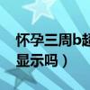 怀孕三周b超能显示吗图片（怀孕三周b超能显示吗）