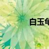 白玉龟的寓意（白玉龟简介）