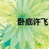 卧底许飞（卧底警花许亚楠的悲惨）