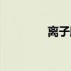 离子膜烧碱工艺（离子膜）