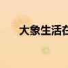 大象生活在草原还是森林（大象生活）