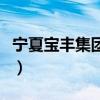 宁夏宝丰集团高层领导（宁夏宝丰集团董事长）