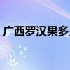 广西罗汉果多少钱一斤（罗汉果多少钱一斤）