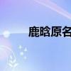 鹿晗原名?（鹿晗原名叫什么名字）