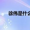 徐伟是什么电视剧（哪部电影有徐玮）