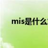 mis是什么意思中文（mis是什么意思）