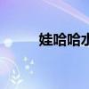 娃哈哈水晶葡萄饮料（娃哈哈水）