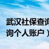 武汉社保查询个人账户查询官网（武汉社保查询个人账户）