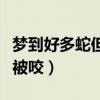 梦到好多蛇但是没被咬死（梦到好多蛇但是没被咬）