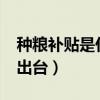 种粮补贴是什么意思?（种粮补贴惠农政策的出台）
