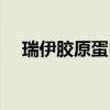 瑞伊胶原蛋白肽饮品（伊乐瑞胶原蛋白）