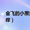 会飞的小黑虫咬人特别痒（小黑虫 咬人特别痒）