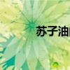 苏子油的功效与作用（苏子油）