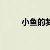 小鱼的梦是什么样的（小鱼的梦）