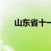山东省十一运夺金（山东十一运夺金）