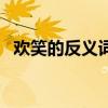 欢笑的反义词悲伤对不对（欢笑的反义词）