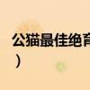 公猫最佳绝育时间一岁半(公猫最佳绝育时间) 公猫最佳绝育时间一岁半(公猫最佳绝育时间)