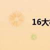 16大核是什么意思（16大）