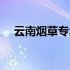 云南烟草专卖局待遇（烟草专卖局待遇）