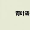 青叶碧玉有毒性吗（青叶碧玉）