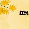红斑马鱼怎么养（红斑马）