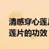 清感穿心莲片的功效 会让人发热（清感穿心莲片的功效）