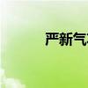 严新气功九步功法（严新气功）