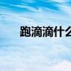 跑滴滴什么车最省油（什么车最省油）