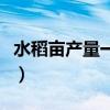 水稻亩产量一般能达到多少公斤（水稻亩产量）