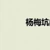 杨梅坑的景点（杨梅坑好玩吗）