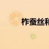 柞蚕丝和桑蚕丝哪个好（柞蚕丝）