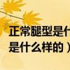 正常腿型是什么样的图片背后看（正常的腿型是什么样的）
