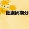 细胞周期分析和肿瘤的关系（细胞周期）
