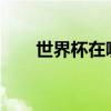 世界杯在哪里看（2014世界杯在哪）