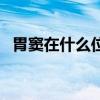 胃窦在什么位置图片（胃在什么位置图片）