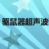 驱鼠器超声波试听（猫叫声音驱赶老鼠播放）