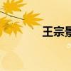 王宗景杀了张小凡（王宗景）