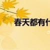 春天都有什么花朵（春天都有什么花）